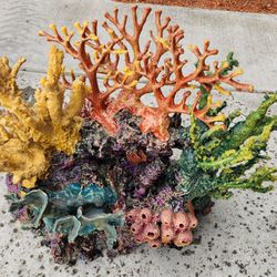 Coral Reef Inserts