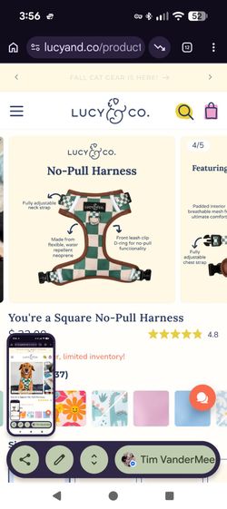 Lucy & Co. Dog Harness