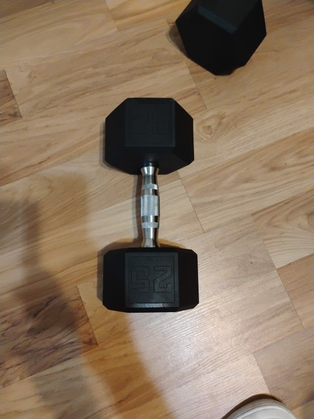 25lbs Weights
