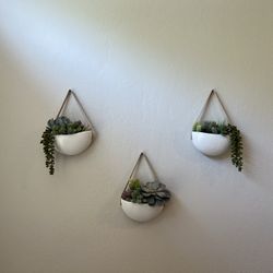 Artificial Succulent Wall Hangings