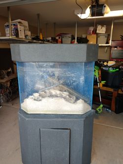 40 gallon corner fish tank
