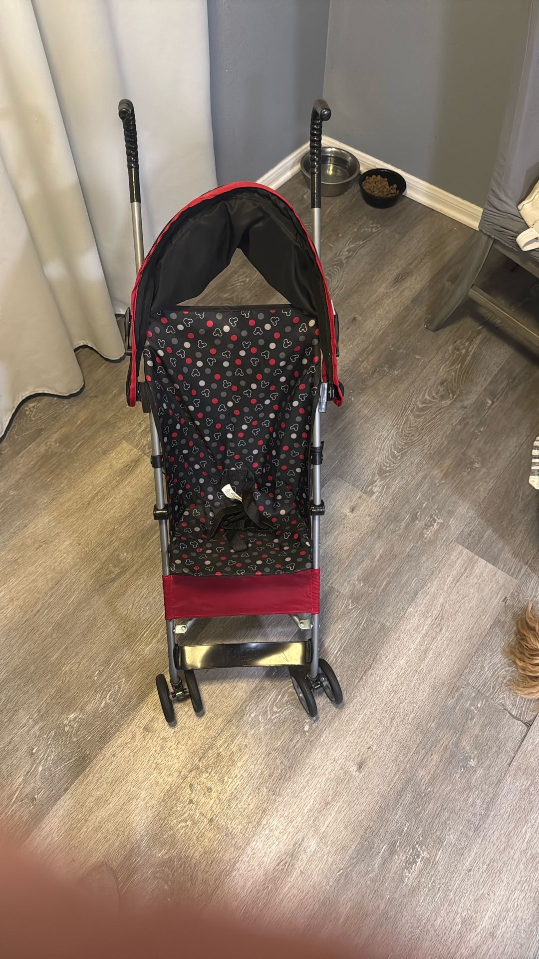 Mickey Stroller