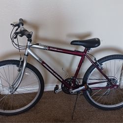 Royce Union ST630 mountain bike. 