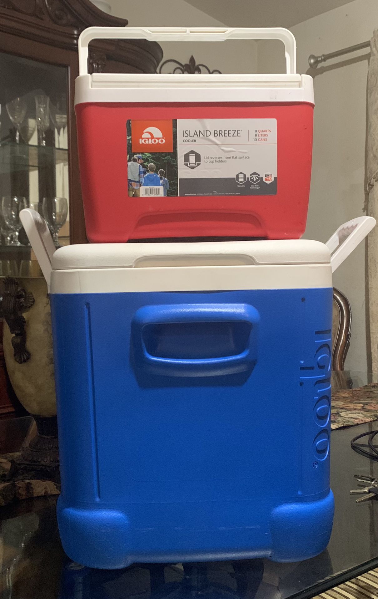 One Mini Cooler And A Large Cooler 