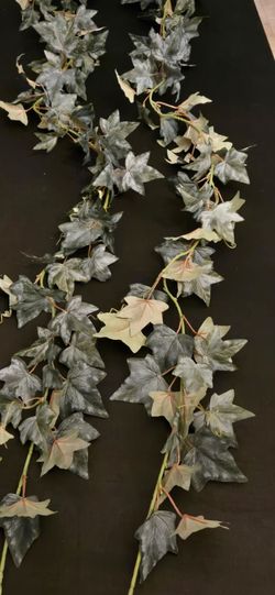 Ivy garland
