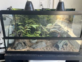 Reptile Tank 30 gallon