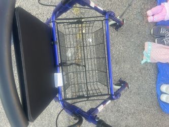 Adult Walker