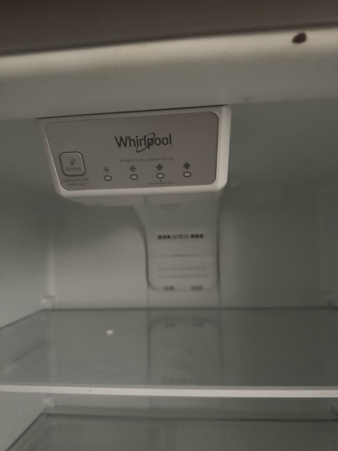 Whirlpool Refrigerator – Great Condition