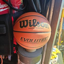 Wilson evolution brand new