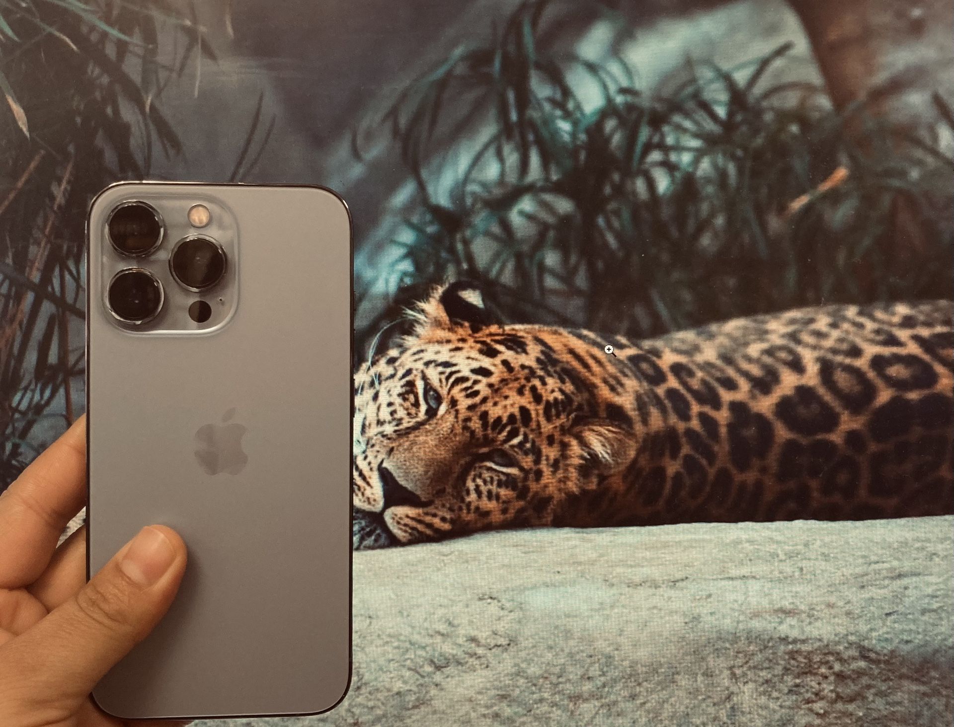 Factory Unlocked Iphone 13 Pro 128 gb comes with store warranty