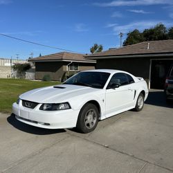 2000 Ford Mustang