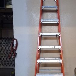Werner 10ft Ladder
