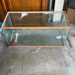 Fish Tank 