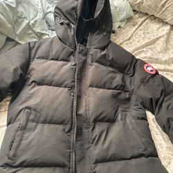 Black Canada Goose