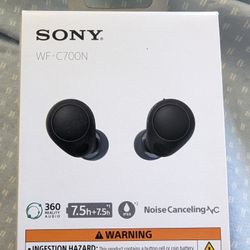 Sony Wf-C700n Earbuds