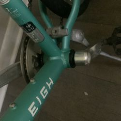 Alyssa 22 Raleigh Santa Cruz bike