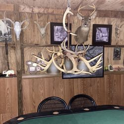 Real Antler Chandelier 