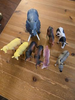 Animal lot