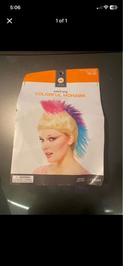 Costume wig