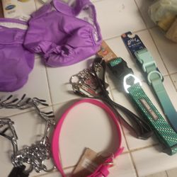 Dog Collars 