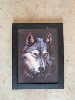 Wolf Picture