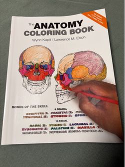 Anatomy Reading and Coloring Book
