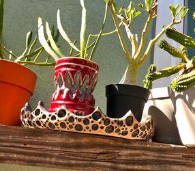 Hand Crafted pottery with plants!