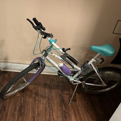 Regatta Bike 22”