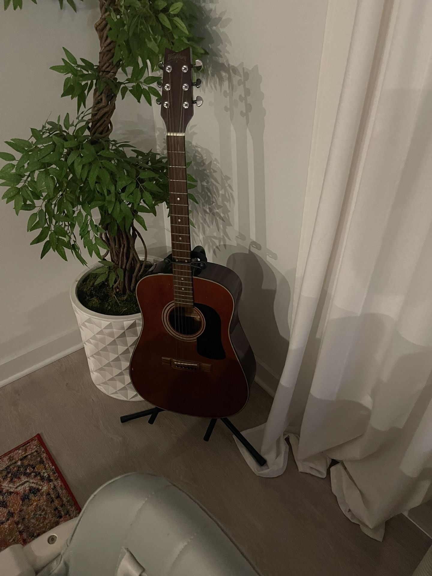 Washburn Acoustic