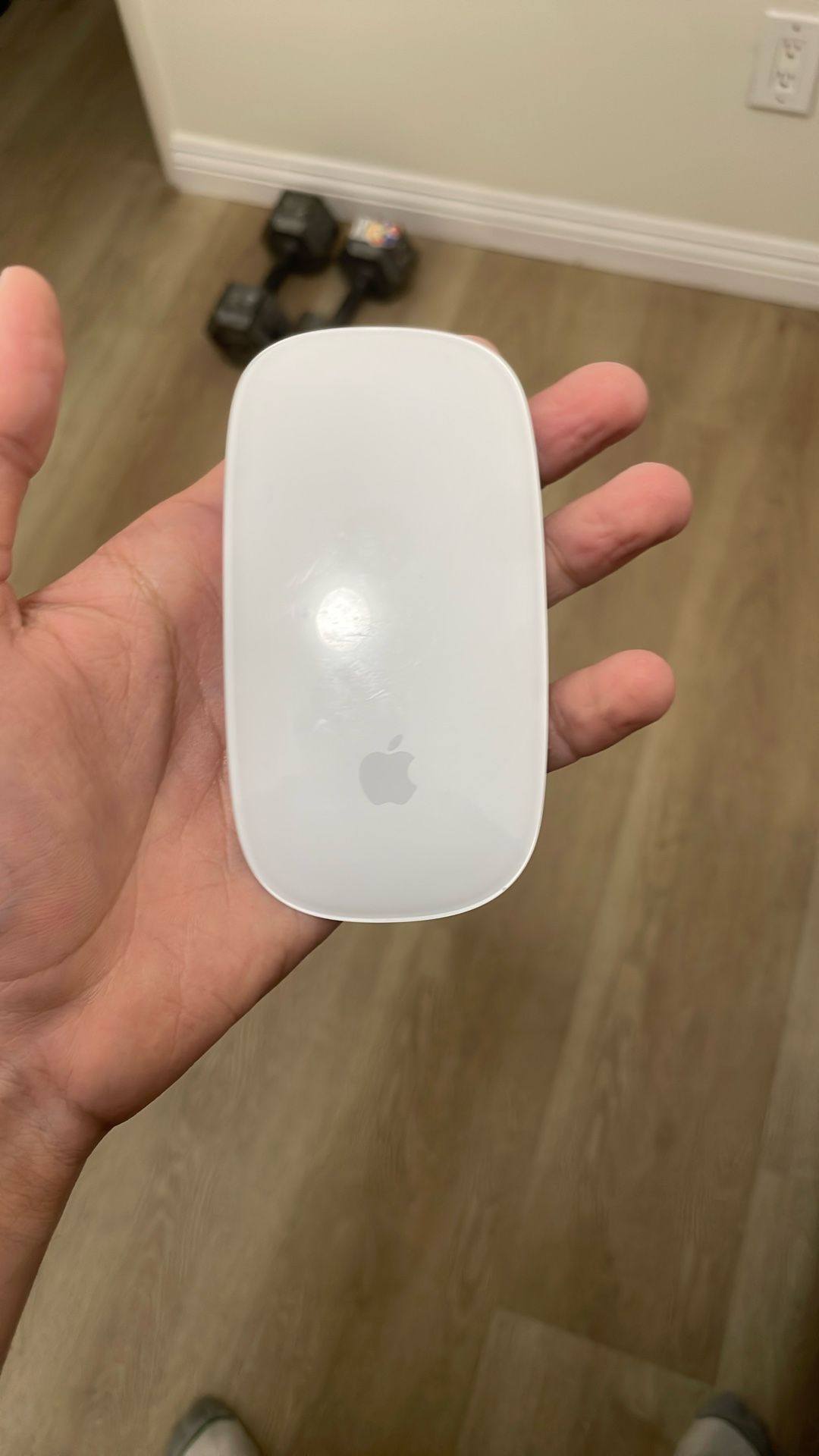 apple magic mouse 2