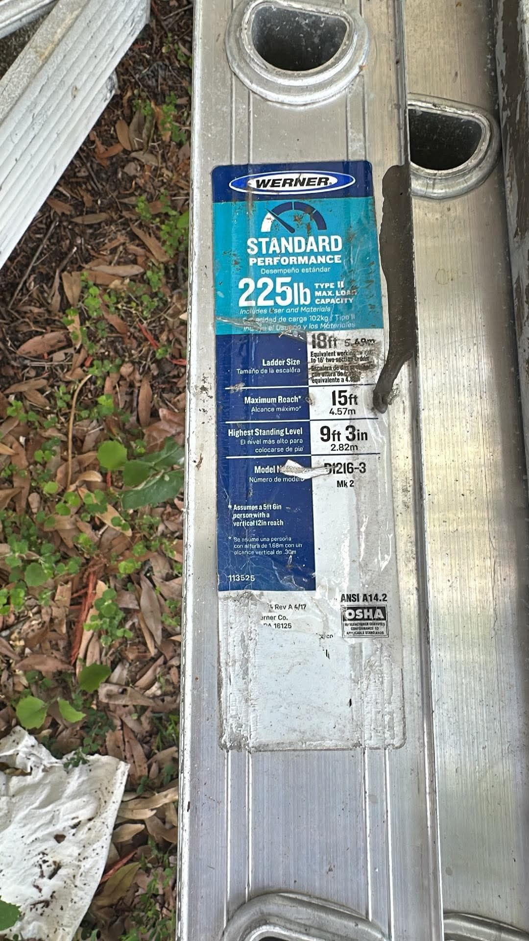 Werner Ladder