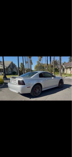 2000 Ford Mustang