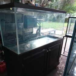 Fish Tank 90 Gallons 