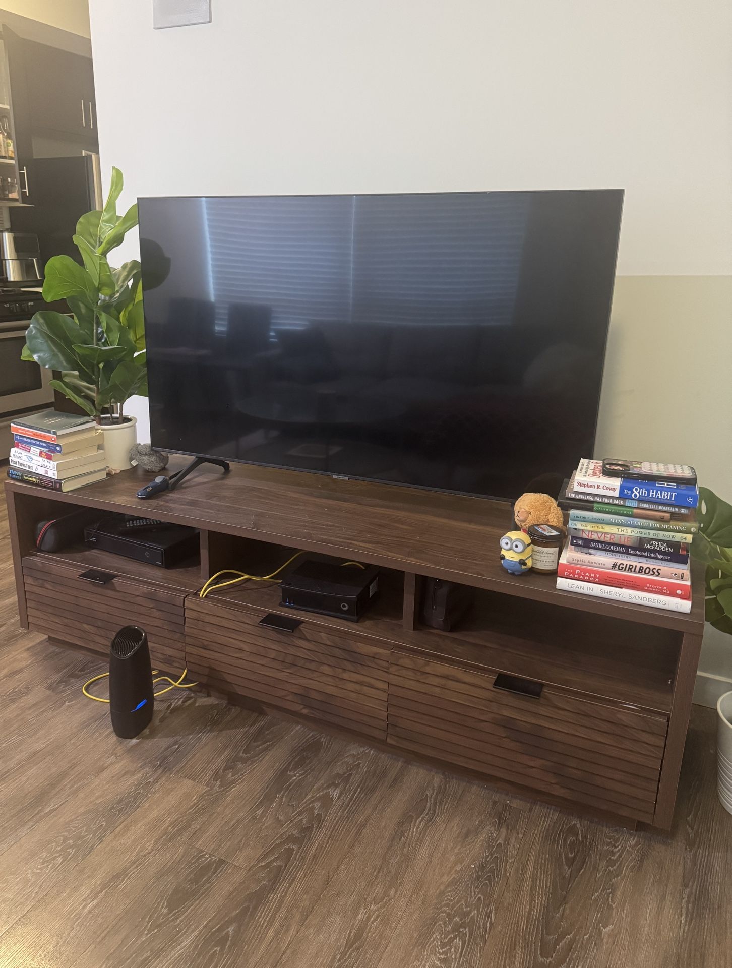 TV + TV Stand For Sale - $600