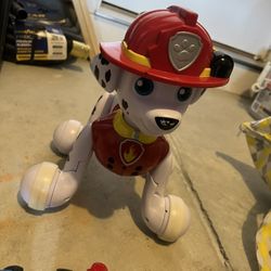 Paw Patrol Toys