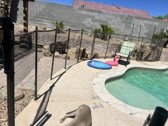 Pool Fence Needs Mesh