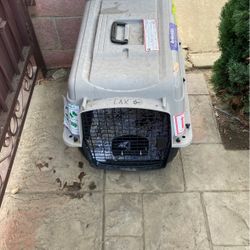 Dog Crate