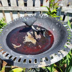 cast iron bird bath