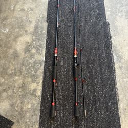 2 Unbranded Fishing Rods