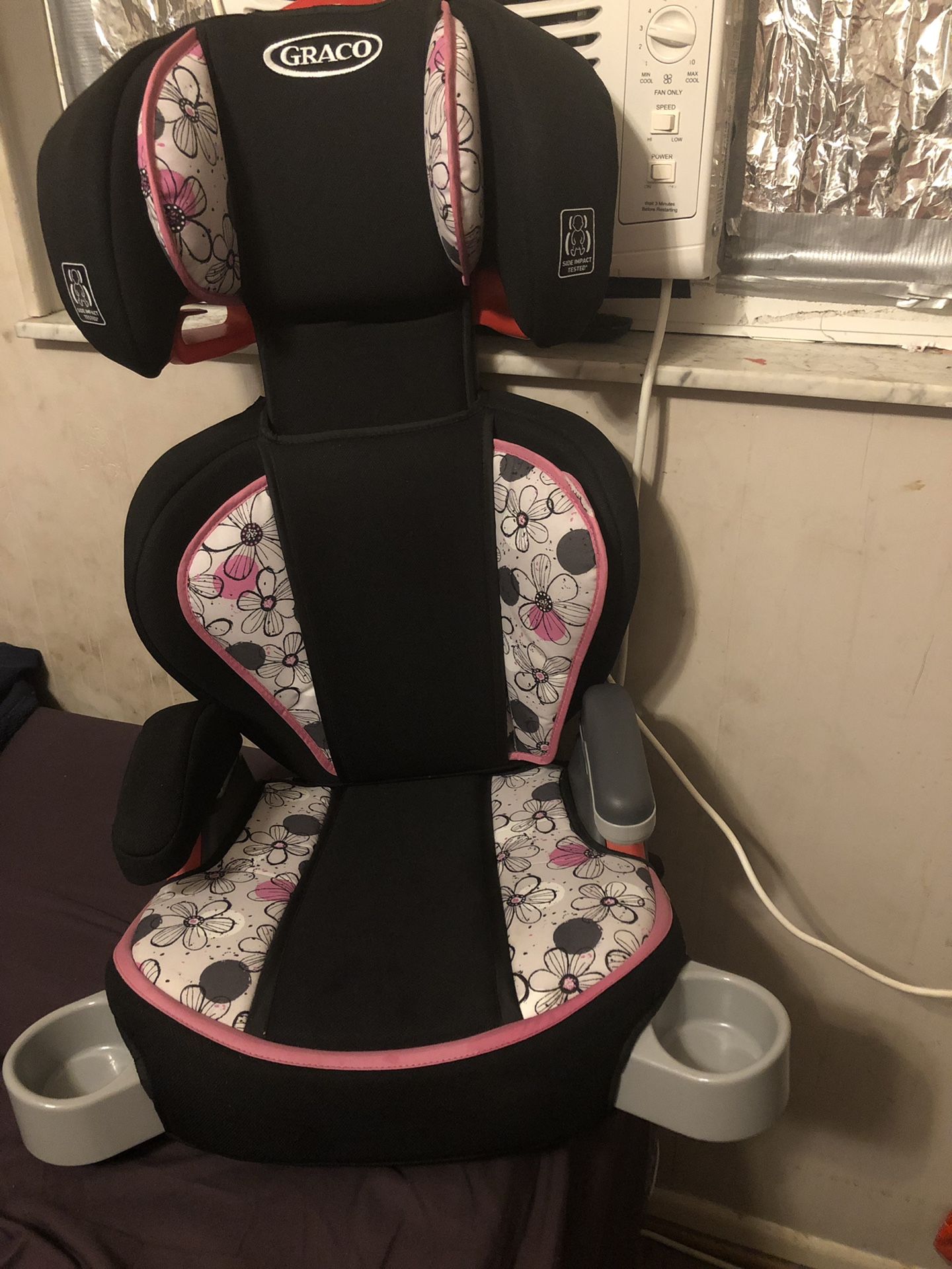 Car seat and booster seat