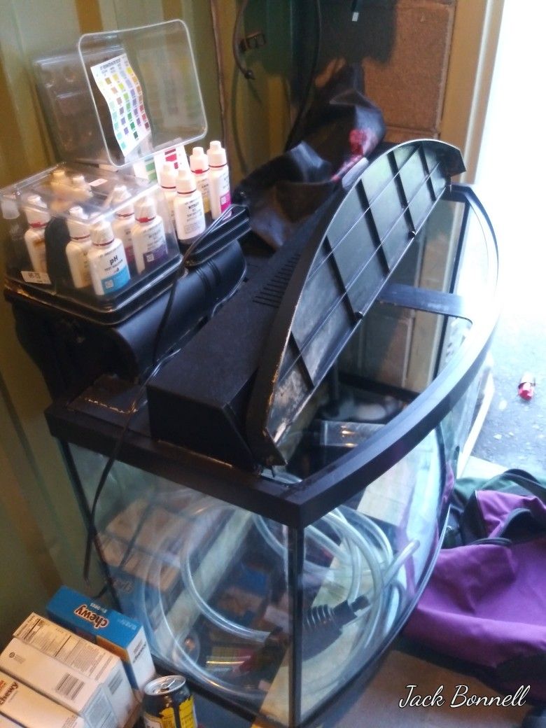 45 Gallon Salt Water Fish Tank