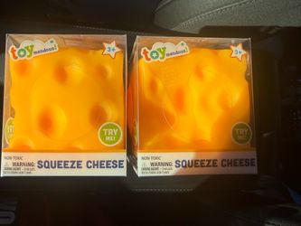 cheese squeeze toy