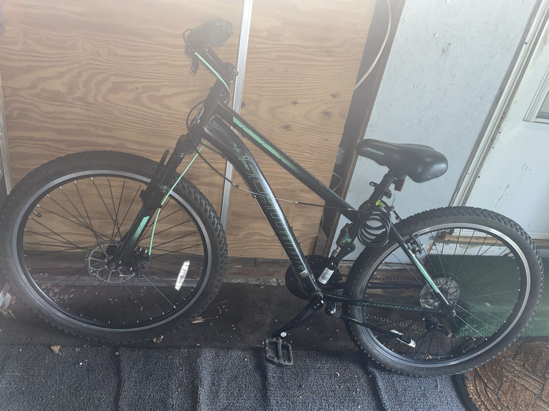 Mountain Bike