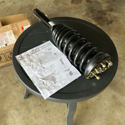 Complete Strut Assembly 