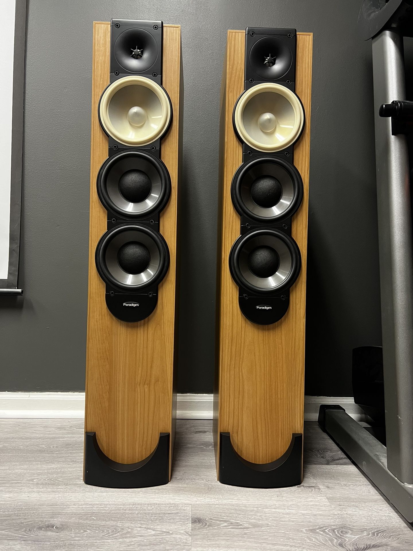 Paradigm 9v5 Speaker (Pair) Amazing Sound!