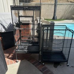 Bird Cage