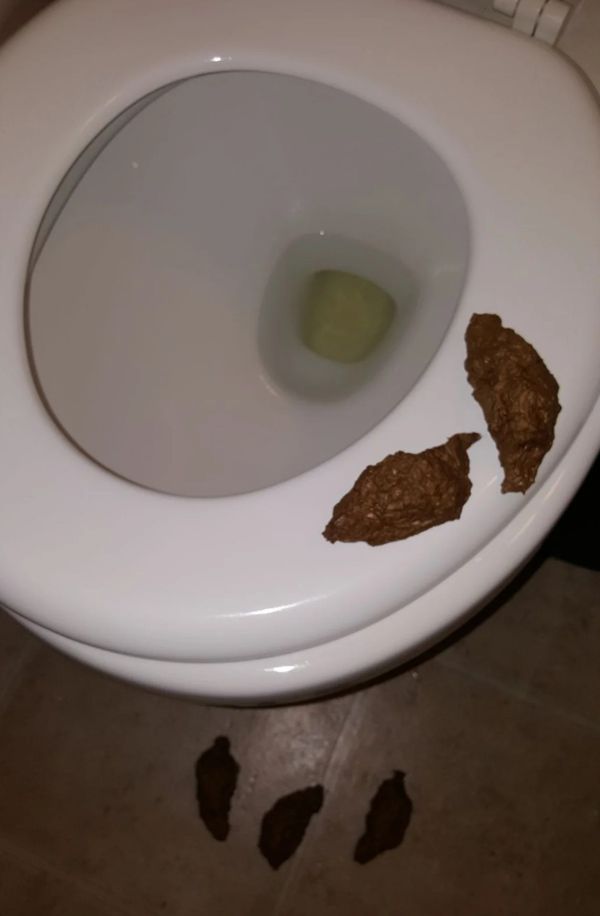 Offer Up Los Angeles >> Like Real Poop for Sale in Los Angeles, CA - OfferUp Offer Up Los Angeles >> Like Real Poop for Sale in Los Angeles, CA - OfferUp