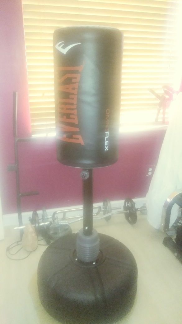 Punching bag-speed bag