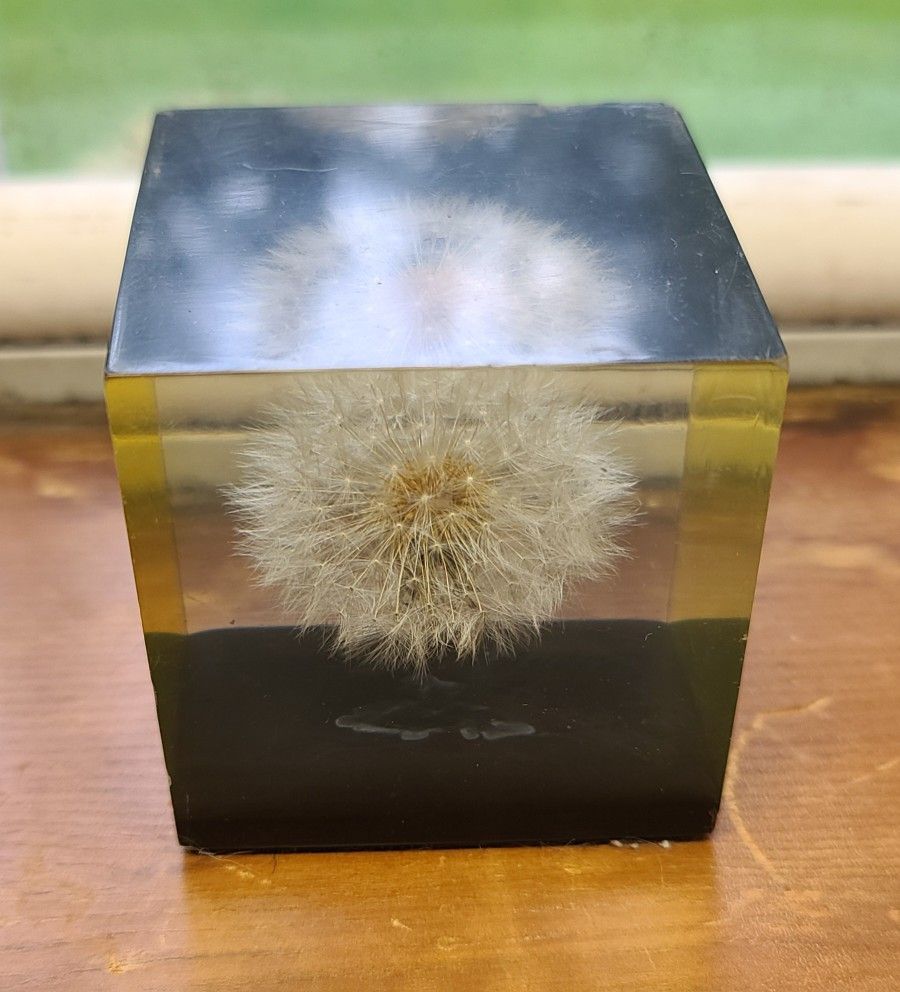 Beautiful Vintage Dandelion Flower Seed Lucite Square Paperweight 