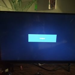 Vizio Flatscreen